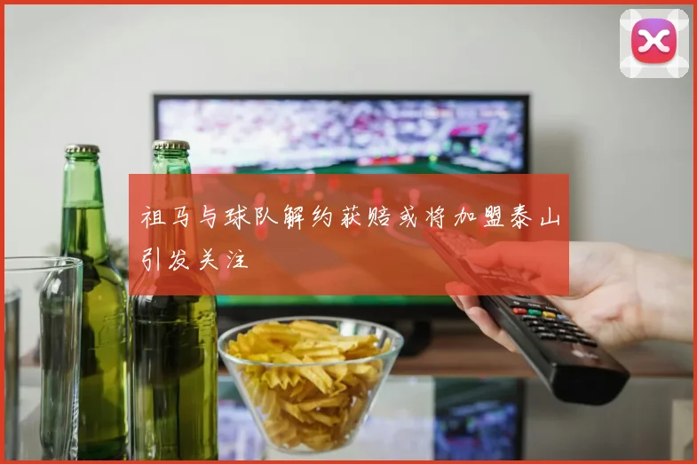 祖马与球队解约获赔或将加盟泰山引发关注